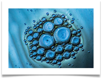 oil droplets in water - Richard Nicholls